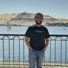Tamer Mohsen