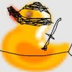 ninja duck