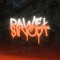 PawelSinout