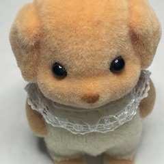 ワ‼️