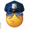 Mr.Police
