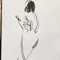 an.sheriart
