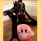 sonic the cat