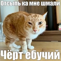 / / / / / / / / / / / /  // /  /