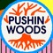 Pushin Wood Soundsystem