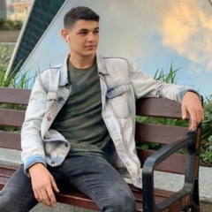 noam levy the king
