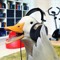 Atypicalgoose