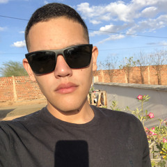 Felipe Tavares
