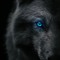 blackwolf22