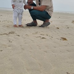 mansoor