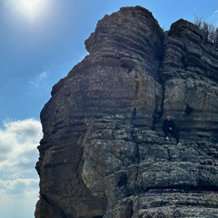 Vilkimser