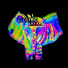 Electric Safari Records