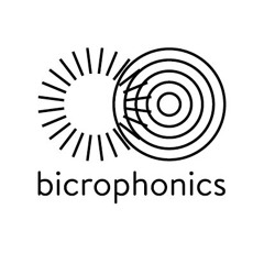 Finding Song Home: Prince And Racism In E.Berlin