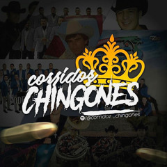 Corridos Chingones