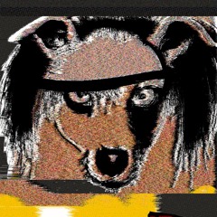 animal band