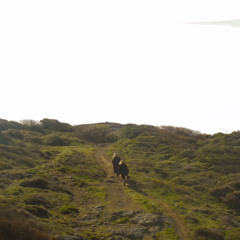 sinem kübra yağmur