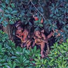 Akrobat