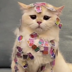 Ngọc Ngân Nguyễn Hoàng