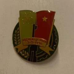 Thư Nguyễn