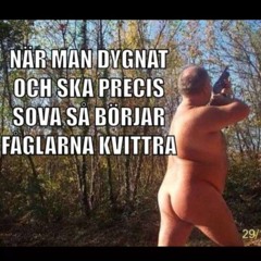 leif öhman