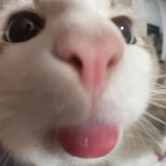 Astro