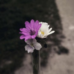 Glass Flower