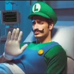 Mr.Luigi_Fan