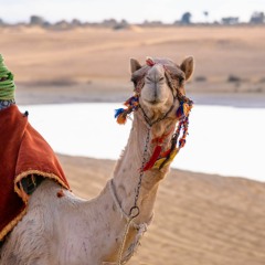أنشودة عاهدتني ألا تميل عن الهوى