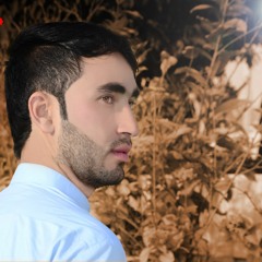 Prince Asghar Khan Khilji