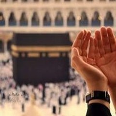 Marwa Hashem