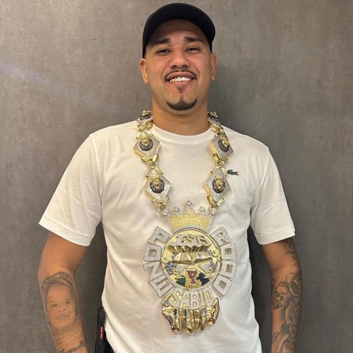 MC NEGRITIN - FILHOTE DO PZ ( DJS RW, TEEUZ & SJAY ) TROPA DO SÁBIO