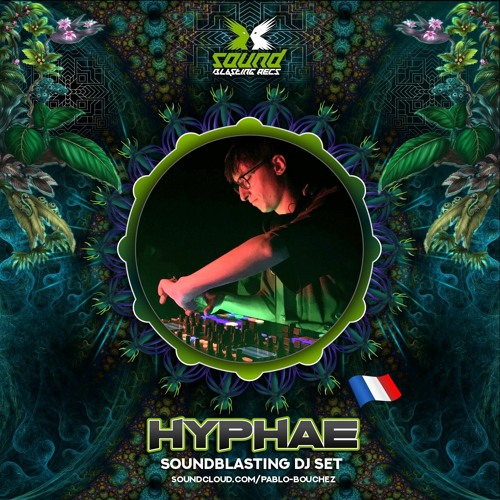 Hyphae - Soundblasting Records’s avatar