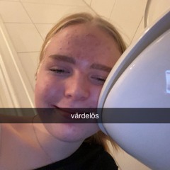 bolstad06
