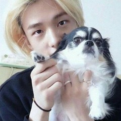 Untitled Playlist