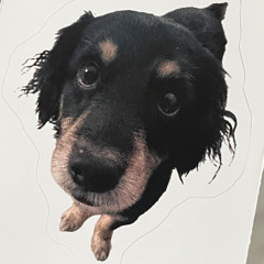 Uli