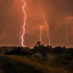 Максим Вячеславович