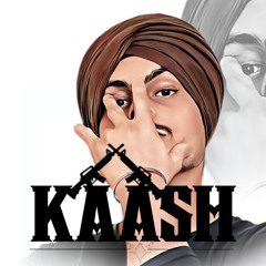 KAASHpb31