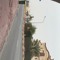 ناصر المجمد