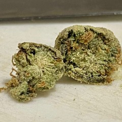 Bartholomeus_the_hunter