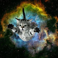 Kittenlover48