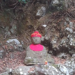 SAKURA - Ikimonogakari REMIX