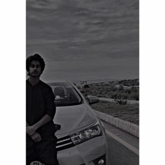 Malik Muhammad Ali Haider Awan