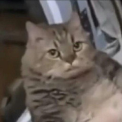 ยัวร์มารดา