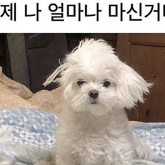 ddongi