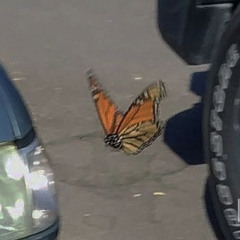 자연사 박물관