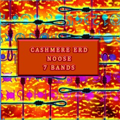 E.R.D. CASHMERE NOOSE ONLY SEVEN BANDS