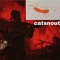 catsnout