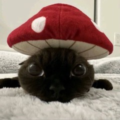 Fuuh☠️Fuhhh~🤝😭🥀