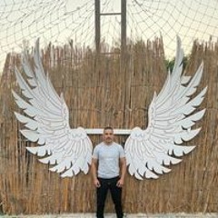 Amr S Omar