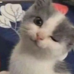 dawnblosoom